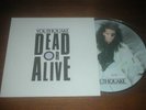 DEAD OR ALIVE/Pete Burns JAPANESE PROMO 12” Picture Disc YOUTHQUAKE Rare Beauty