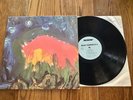 1st Press Meat Puppets - II 12” Vinyl Lp SST 019 Punk Nirvana 1984