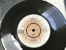 Blondie-In The Flesh/X Offender PRIVATE STOCK VERY RARE PROMO PVT105