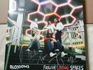 Blossoms - Foolish Loving Spaces - 12'' Vinyl LP  **Hand Signed**