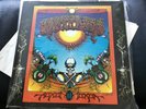 Grateful Dead album AOXOMOXOA, promo orig Warner’s 1790, VG+ WLP, free shipping