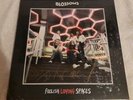 Blossoms - Foolish Loving Spaces - Glow in the Dark Vinyl Record - SIGNED