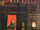 Sense Field - Building ORIGINAL 1996 VINYL PRESSING POST-HARDCORE EMO INDIE ROCK
