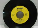 Tony and the Raindrops-Our Love Is Over (Chesapeake) doo wop