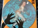 The Cramps lp Creature from the Black Leather Lagoon picture disc super rare