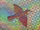 Widespread Panic Til The Medicine Takes Double Vinyl Lenticular Slipcase LIMITED