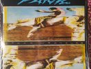 Widespread Panic - Space Wrangler - 2xLP Vinyl