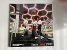 Blossoms - Foolish Loving Spaces (2020) - 12'' Vinyl LP - Signed - New & Sealed