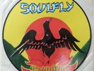 SOULFLY - Primitive LP - Vinyl Limited Edition Picture Disc