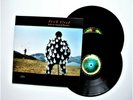 PINK FLOYD - DELICATE SOUND OF THUNDER - LP UK 1988 - EXCELLENT+