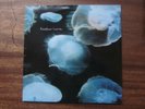 HEATHER NOVA - GLOW STARS 1993 BIG LIFE ***RARE UK VINYL L.P.***