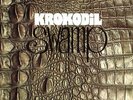 KROKODIL - Swamp - LP Krokodil