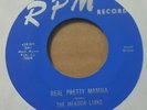 THE MEADOW LARKS - REAL PRETTY MAMA / LOVE ONLY YOU RARE DOO WOP 7