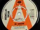 Andwellas Dream-Mr. Sunshine-UK DEMO 7