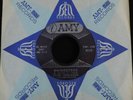 HEAR 45 MOD POPCORN STAN ROBINSON Rhinoceros - Can She Give You Fever AMY 1960