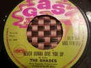 The Shades Never Gonna Give You Up UK 7