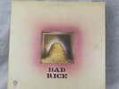 Ron Nagle Bad Rice LP WS 1902 1970 Warner Brothers Records Ry Cooder Gatefold