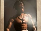 Rodeo [LP] by Travis Scott (Vinyl, Nov-2015, 2 Discs, Epic)
