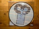 The Chameleons What Does Anything Mean NEW SEALED PICTURE DISC Vinyl Record