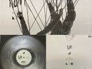 KORN The Nothing Exclusive Clear Colored Vinyl