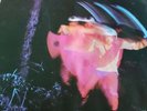 Black Sabbath LP Paranoid von NEMS