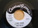 FtTHE PETS I SAY YEAH WEST SIDE PARTY CARNIVAL 511 GEORGE CLINTON SOUL 45 NOS MI