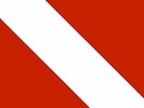 Diver Down [LP] by Van Halen (Vinyl, Jul-2015, Rhino (Label))