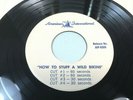 How to Stuff a Wild Bikini Radio spots commercials AMERICAN INTERNATIONAL 45 vtg