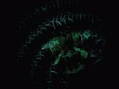 Cosmic Ground:  Cosmic Ground 5  LP  NEW  Ltd  Deep Distance