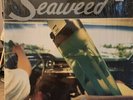 Seaweed Spanaway LP Vinyl Hollywood Records Quicksand Jawbox