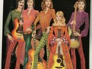FOTHERINGAY Ex Self Titled Pink Island Records Sandy Denny Folk LP