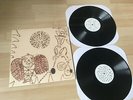 DEVENDRA BANHART REJOICING IN THE HANDS / NINO ROJO 2 LPS VINYL NM