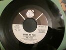 THE DOORS ORIG PROMO 45 DJ Promo WLP LIGHT MY FIRE /CRYSTAL SHIP  NM GLOSSY NICE