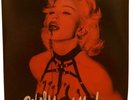 Madonna Rebel Heart Rare Unofficial picture Disc 2xLP Vinyl