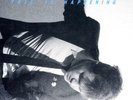 LCD Soundsystem 'This Is Happening' 2x12