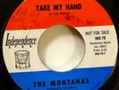 the MONTANAS 45 Take my hand / Top Hat INDEPENDENCE psych 1967 pop promo Ct 2816