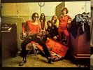 THE FLAMIN' GROOVIES - TEENAGE HEAD  KAMA SUTRA - KSBS 2031 VINYL 1971 LP GF