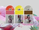 The National : I Am Easy to Find VINYL Deluxe  12