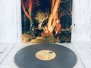 Echo and the Bunnymen Crocodiles NM LP 1st press USA Sire 1980 SRK 6096