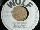 Burning Spear ?– Resting Place / Shady Tree  7