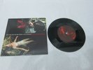 Nick Cave and the Bad Seeds + Kylie Minogue - Where the Wild Roses Grow