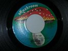 HEART - CRAZY ON YOU / DREAMBOAT ANNIE  45 RPM  MUSHROOM RECORDS  UNPLAYED  1976