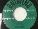 DON McKINNON 45 ROCKABILLY, BLUES / FAT, FAT, FAT on ANTENNA RECORDS VG+Z238