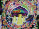2 x LP: Various - Dance, Trance & Magic Plants - Otherworld - Transient Records