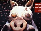 PRIMUS Pork Soda 12