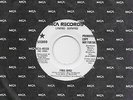 LYNYRD SKYNYRD  Free Bird  rare promo 45 from 1973