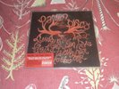 PANIC AT THE DISCO LYING IS THE MOST FUN SQUARE VINYL PICTURE DISC NEW