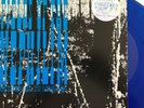 FIELDS OF THE NEPHILIM _ltd ed ITALIAN ONLY BLUE VINYL 12