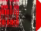 FIELDS OF THE NEPHILIM _Limited ITALIAN ONLY 12