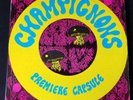 LP CHAMPIGNONS Premiere Capsule PRIVATE PRESSING 1972 Quebec Psych Prog RARE